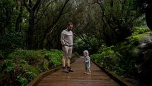 Father and a child sharing meaning in moments together by walking a wood road on a forest